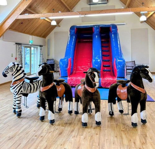 8ft Platform Slide and Large Ponycycles.jpg